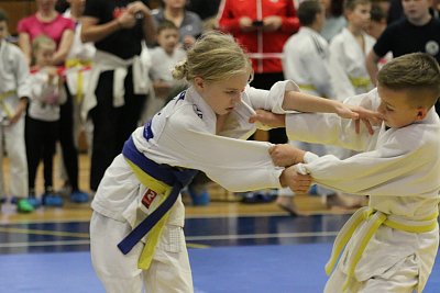 Finále turnaja prípraviek Trnava/2025 79