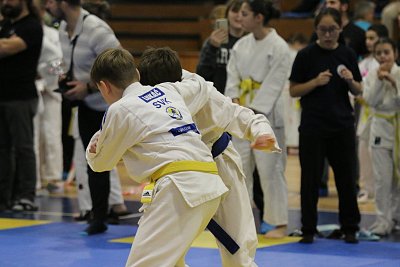 Finále turnaja prípraviek Trnava/2025 141