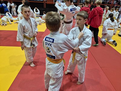 Grand Prix Judo Považská Bystrica 4