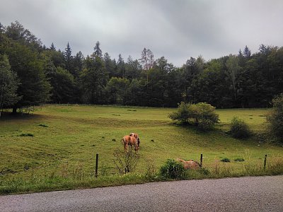 VT Brno/ČR 2019 15