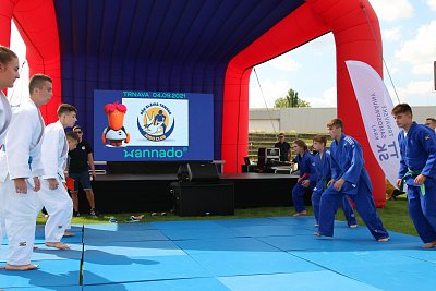 Wannado Slovensko - Festival Športu v Trnave 52